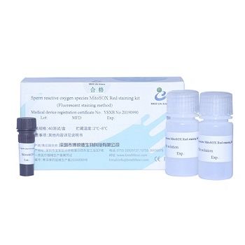 Kit de reagentes solução de coloração - MitoSOX  - Bred Life Science Technology Inc . - para análise de esperma