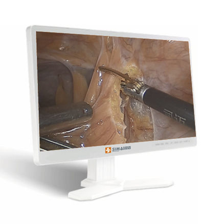 Monitor LCD - SM2600 - SIMAI - para endoscopia / cirúrgico / Full HD
