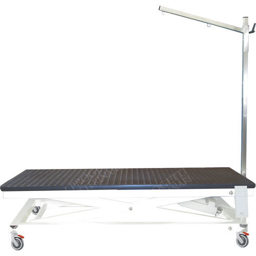 Mesa de tosa elevatória - TAVPET002 - Lory Progetti Veterinari srl - elétrica