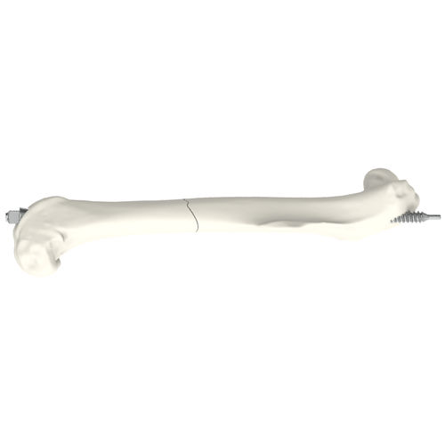 Parafuso ortopédico veterinário para compressão - MouseScrew - RISystem AG - para fêmur