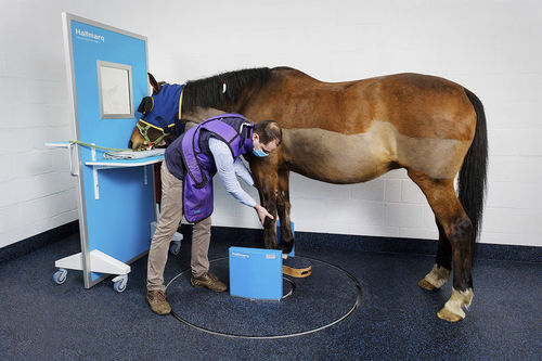 Tomógrafo computadorizado veterinário para equídeos - slCT - Hallmarq Veterinary Imaging