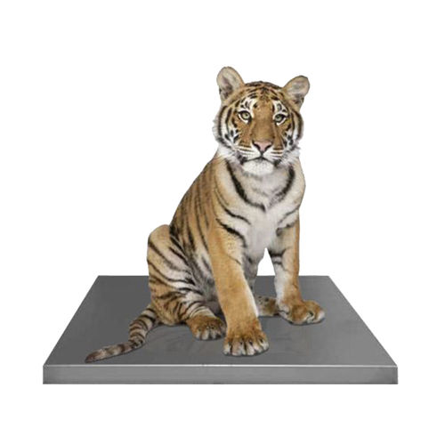 Balança veterinária mecânica - 1561 - DRE Veterinary - plataforma / com display separado