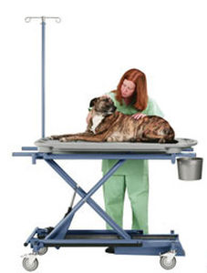 Mesa de exame para uso veterinário - Versa-Lift - Olympic Veterinary - elétrica / com altura regulável / com rodízios