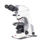 microsc&oacute;pio polarizante