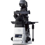 microsc&oacute;pio &oacute;ptico