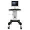 aparelho de ultrassom m&oacute;velDW-750Dawei Medical