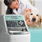 analisador de imunoensaio autom&aacute;ticoAU10VFUJIFILM Healthcare