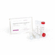 kit de reagentes inibidor de RNase / para RT-qPCR / para síntese de DNAc / de proteínas