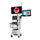 sistema de endoscopia ginecológica / para imagens em Full HD / para imagens em 4K