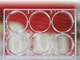 microplaca para laboratório / para cultura de células / com 6 poços / de células