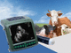 ultrassom veterinário portátil / multiuso / para suínos / para bovinos