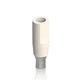 scanbody intraoral