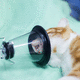 máscara veterinária de anestesia