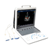aparelho de ultrassom portátil / geral / com Doppler colorido / com console integrada