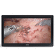 monitor cirúrgico / para endoscopia / com resolução 4K / 31